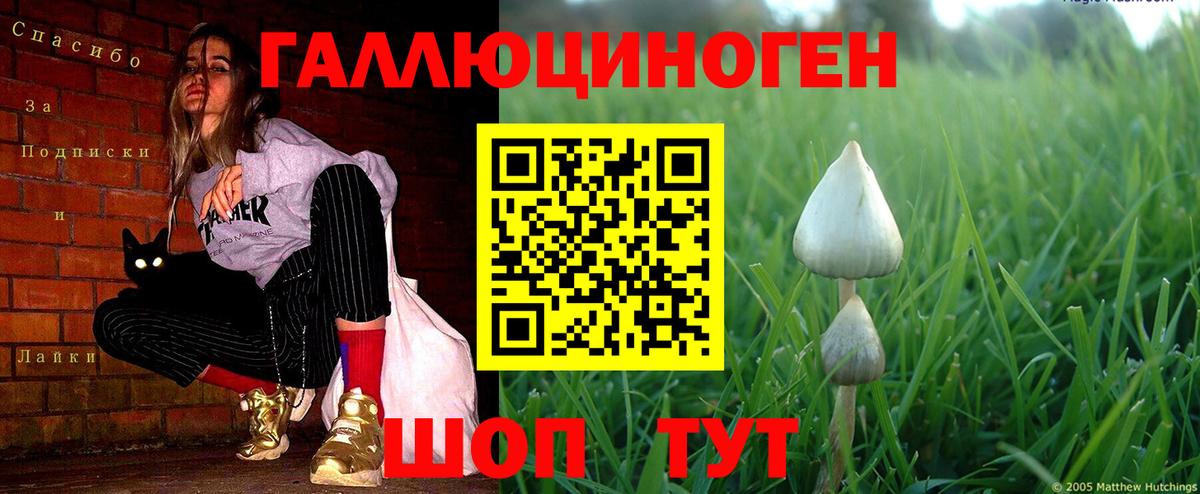 Касимов  Вход с VPN  Марихуана  LSD-25  Меф   ГАШИШ  Кокаин  A-PVP СОЛЬ  