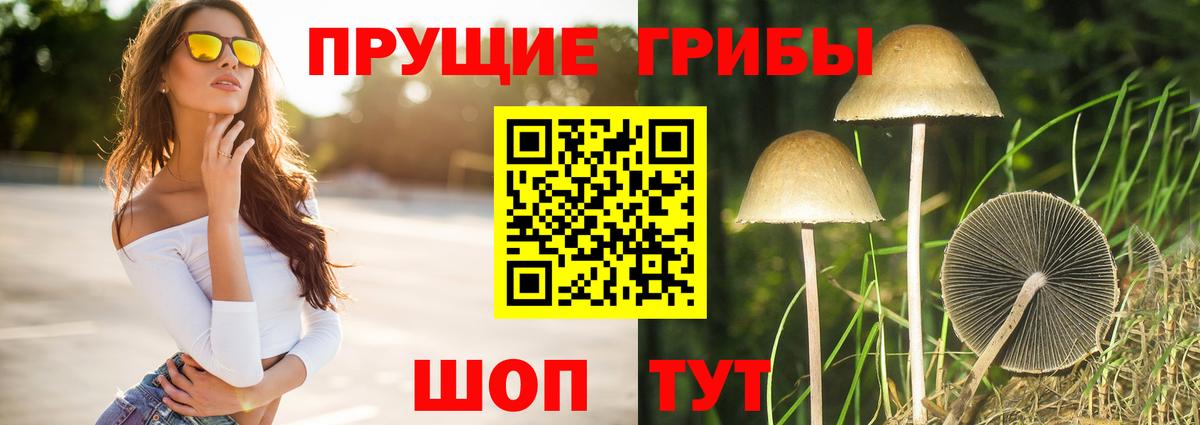 Галлюциногенные грибы Psilocybe  Псилоцибиновые грибы Cubensis  как найти закладки  Касимов  Вход с VPN 